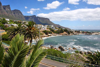 Camps Bay Terrace Palm Apartment Cape Town