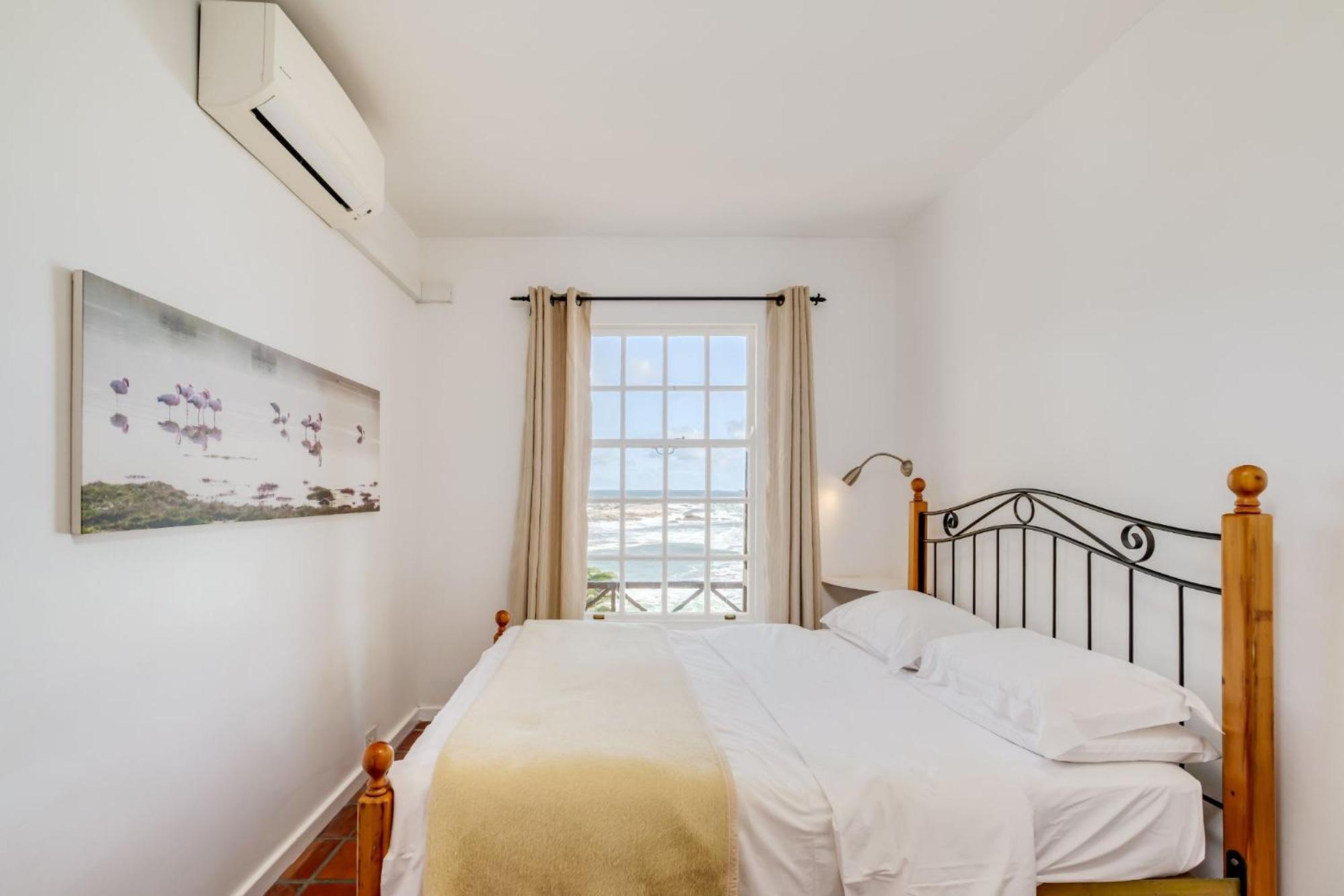 Camps Bay Terrace Palm *