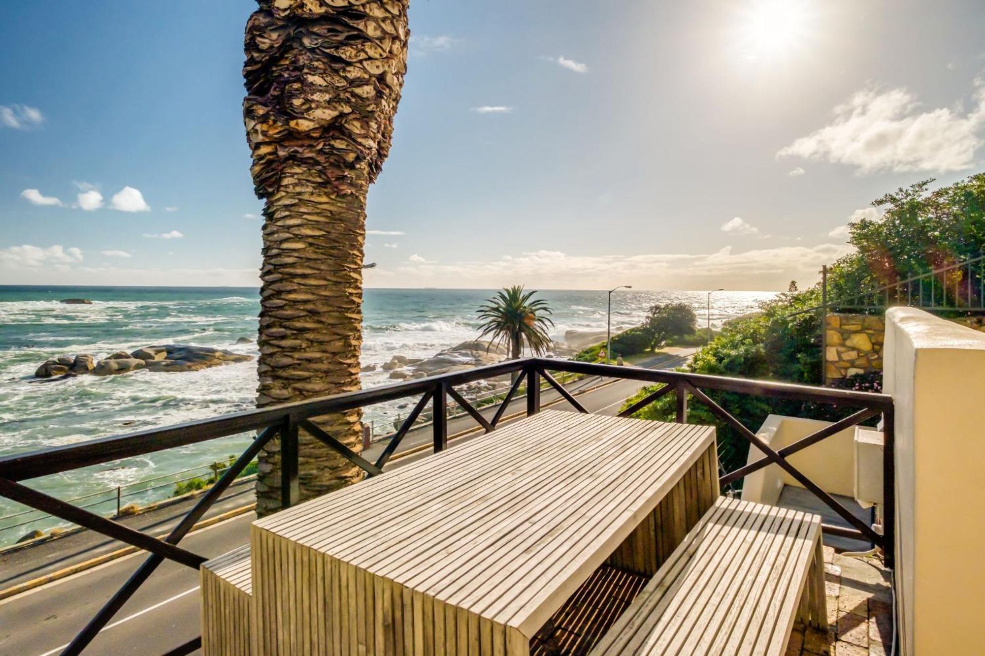 Camps Bay Terrace Palm *