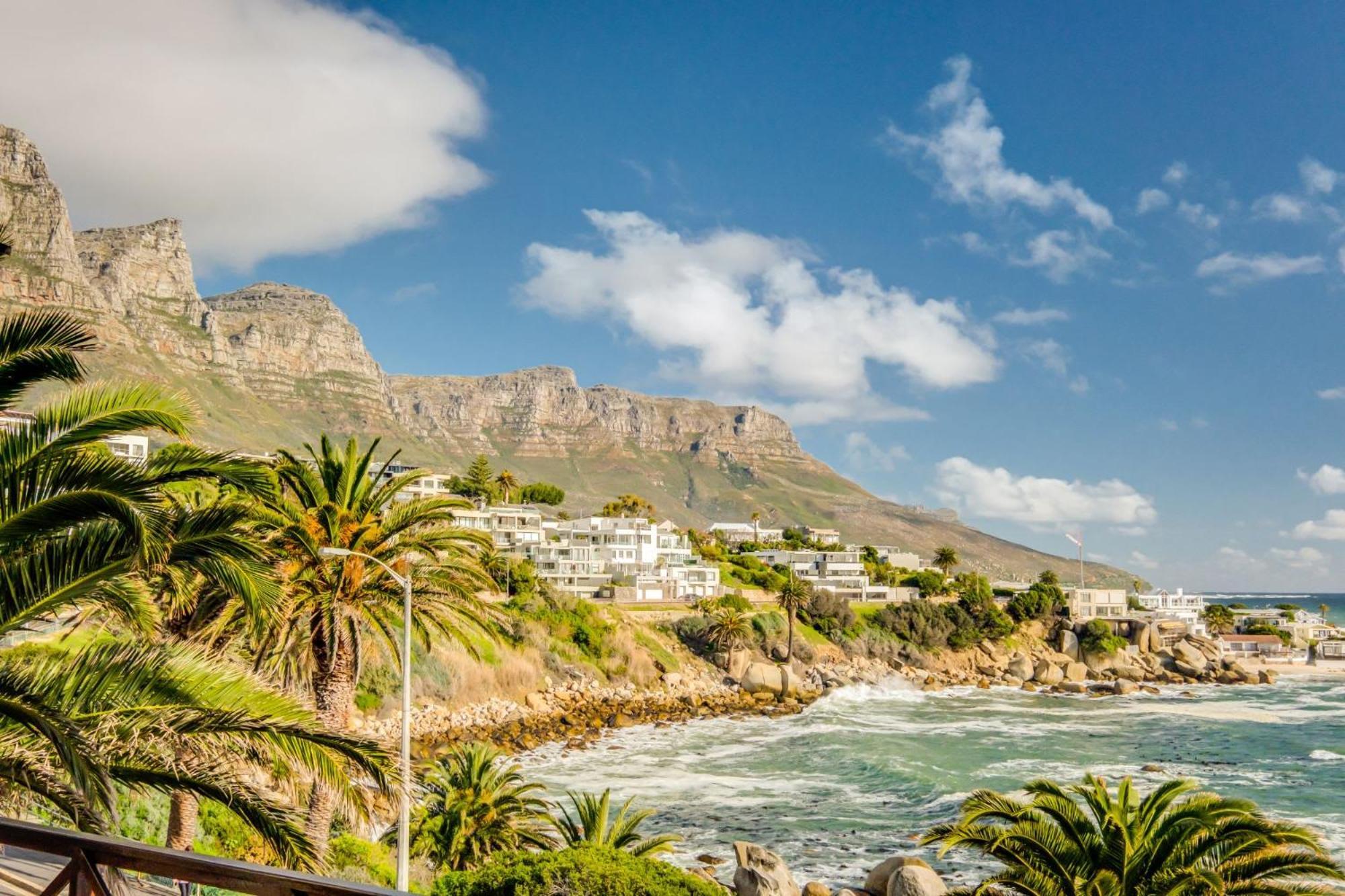 Camps Bay Terrace Palm