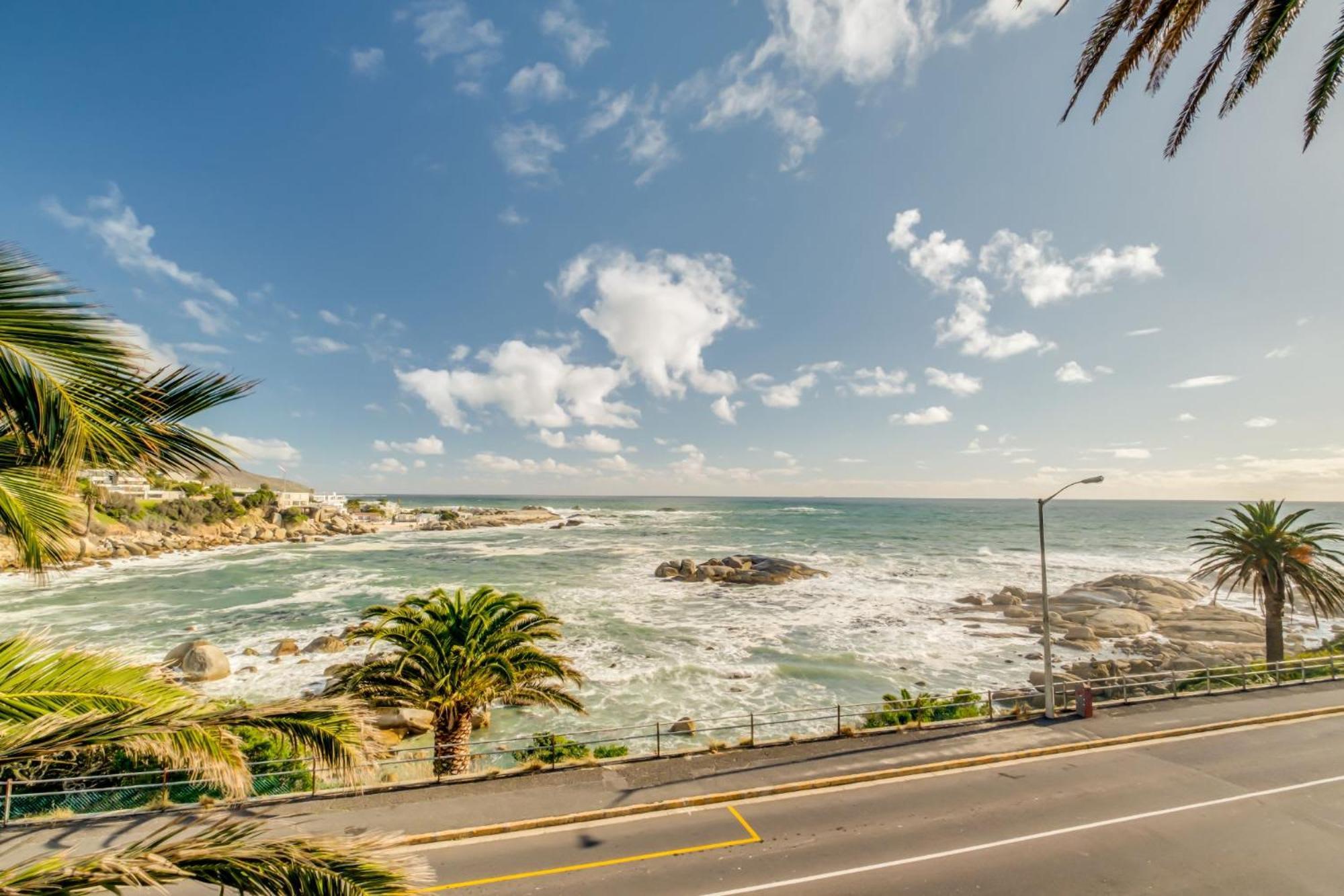 Camps Bay Terrace Palm Cape Town