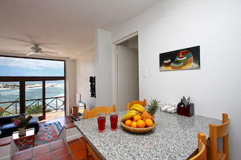 Camps Bay Terrace Palm *