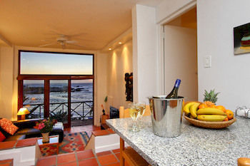Camps Bay Terrace Palm *