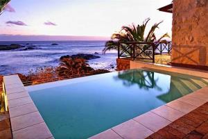 Camps Bay Terrace Palm *